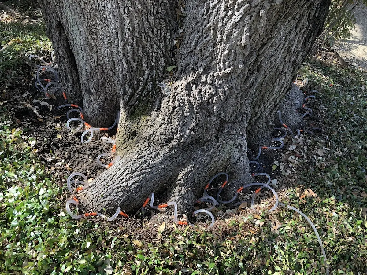 Detailed Shrub and Hedge Trimming job site in Seiling
