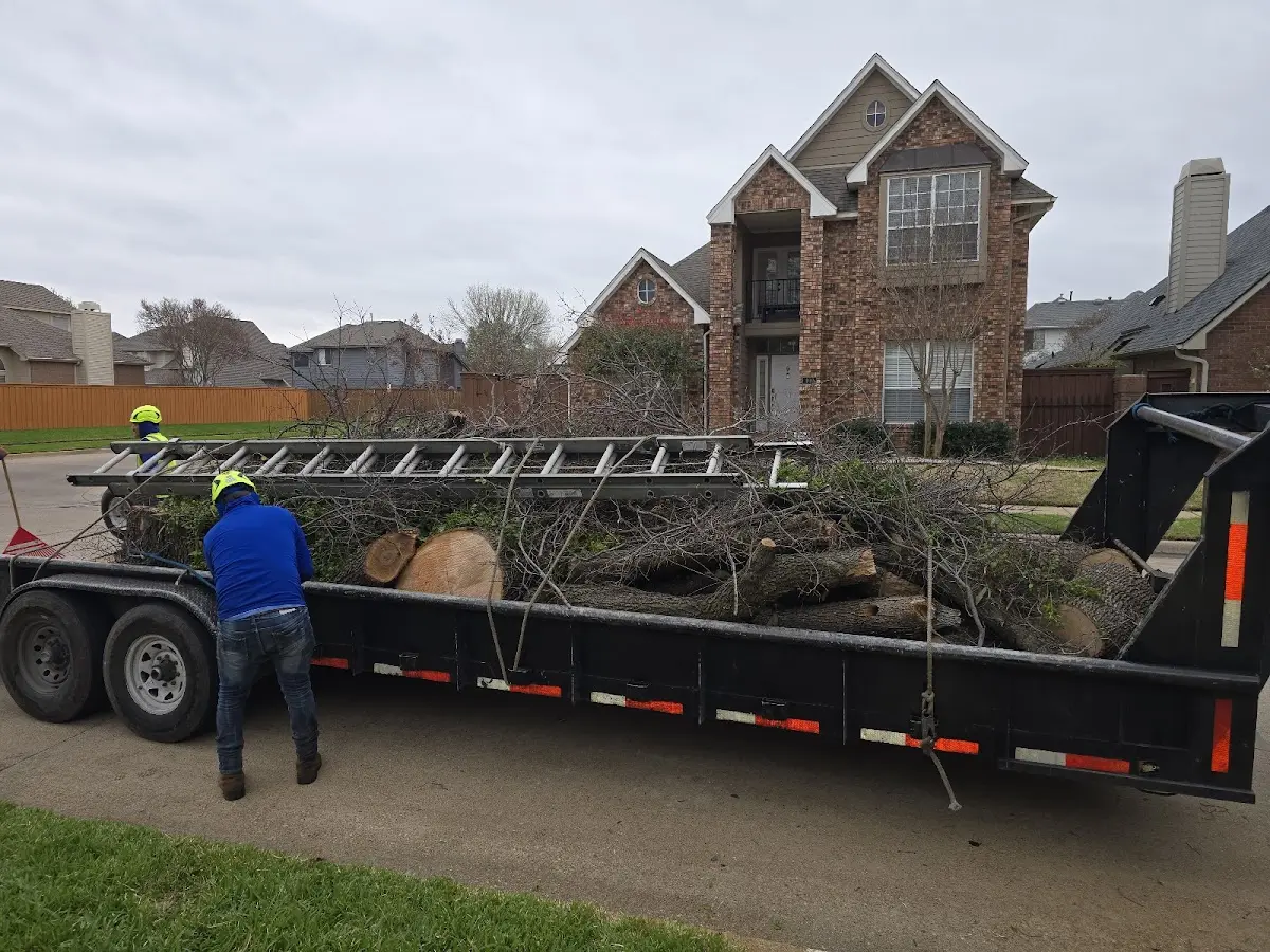 Expert Lot Clearing with proper safety equipment in Seiling